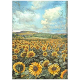 DFSA4770 Sunflower landscape (A4)