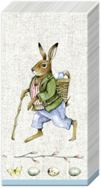 Z6607 Edward Rabbit