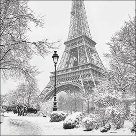 8199 Winter in Paris