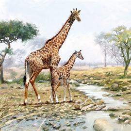 6535 Giraffen