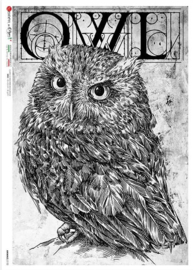 ANI-0152  Uil/Owl