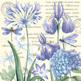 8544 Iris en hortensia