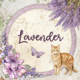 Stamperia: Lavender