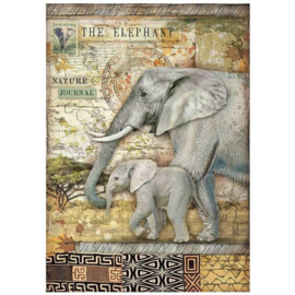 DFSA4684 Savana The Elephant
