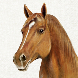 8417 farm Horse