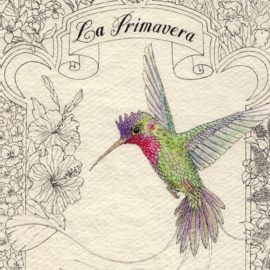 6712 Kolibri La Primavera