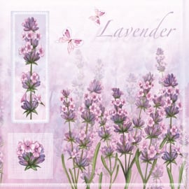 5979 Lavender Flowers