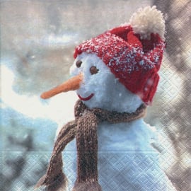 6055 Sneeuwpop