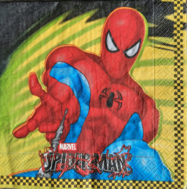 8058 Spiderman