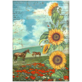 DFSA4767 Sunflower : Art en horses (A4)