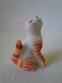 Miniatuur rood/witte poes