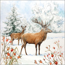 6809 Deer in snow