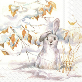 6392 Peter, the white rabbit