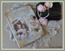 PDF007 Brocante boek