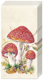 Zp0755 Paddenstoelen