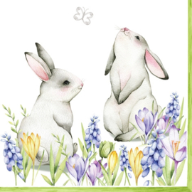 8372 Bunnies in spring