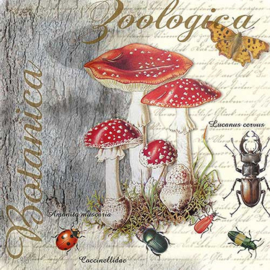 6425r Paddenstoelen (cocktail, 4 servetten)