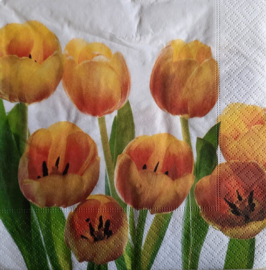 7495 Gele tulpen