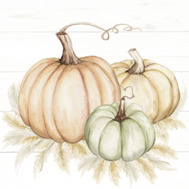 8089 Pumpkin trio