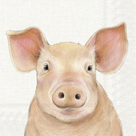 8418 Farm Pig