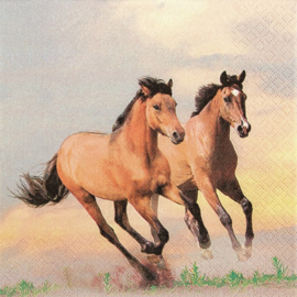 4816 Wild Horses
