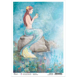 CBRP208 Mermaid's secret