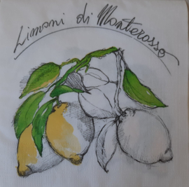 7200 Limoni di Monterosso