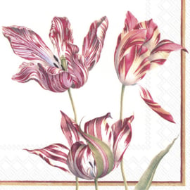 6973 Three tulips (white)