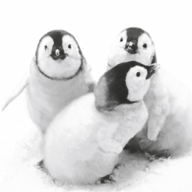 7308 Pinguins