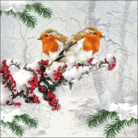 8107 Winter Birds