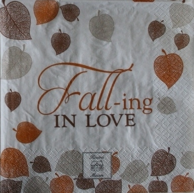 4619 RM : FALL-ing in love