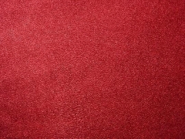 rood rose