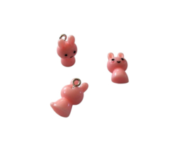 Naamsleutelhanger konijn roze