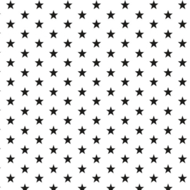 Katoen kleine sterren wit/zwart (101)
