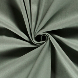 Canvas oudgroen (021)