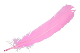 Veer 25-30 cm voor op de pietenmuts