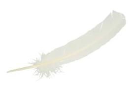 Veer 25-30 cm voor op de pietenmuts