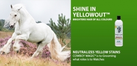 Shine in Yellowout 473 ml