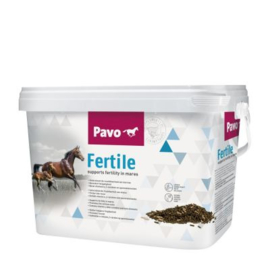 Pavo Fertile