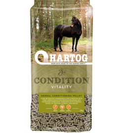 Hartog Condition