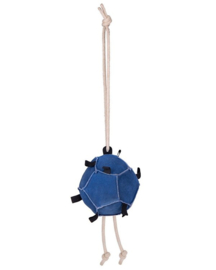 Bal blauw