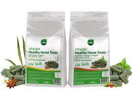 Vitalbix Healthy Horse Treats 1 kg Anijs