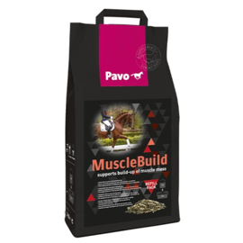 Pavo MuscleBuild refill