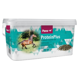 Pavo ProteinPlus