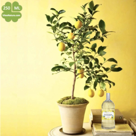 Lemon Eau de Cologne 250 ml | Unisex | Multifunctional