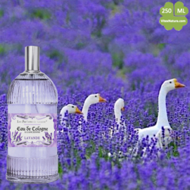 Lavender Eau de Cologne 250 ml | Unisex | multifunctional