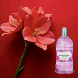 Gingembre Eau de Cologne 250 ml | Unisex | multifunctional