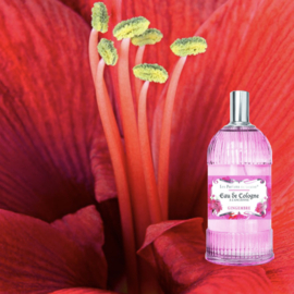 Gingembre Eau de Cologne 250 ml | Unisex | multifunctional