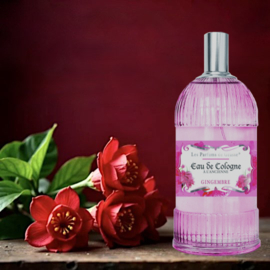 Gingembre Eau de Cologne 250 ml | Unisex | multifunctional