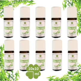 Ren æterisk Tea Tree Oil 10x10ml